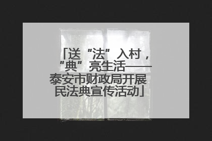送“法”入村，“典”亮生活——泰安市财政局开展民法典宣传活动