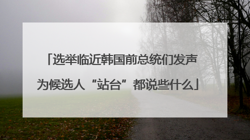 选举临近韩国前总统们发声 为候选人“站台”都说些什么