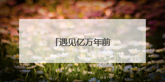 遇见亿万年前的生命印记