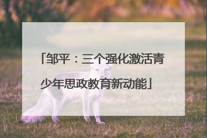 邹平：三个强化激活青少年思政教育新动能