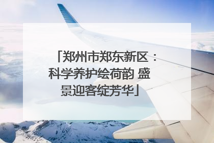 郑州市郑东新区：科学养护绘荷韵 盛景迎客绽芳华