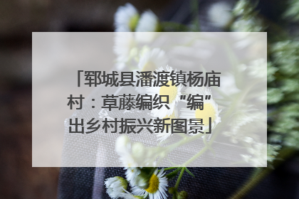 郓城县潘渡镇杨庙村：草藤编织“编”出乡村振兴新图景
