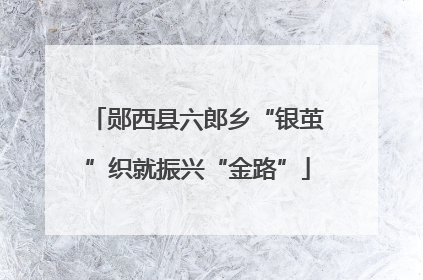 郧西县六郎乡“银茧”织就振兴“金路”