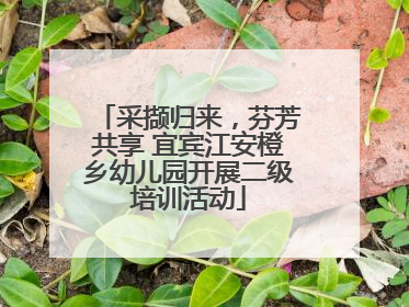 采撷归来，芬芳共享 宜宾江安橙乡幼儿园开展二级培训活动
