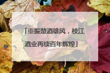 重振楚酒雄风，枝江酒业再续百年辉煌