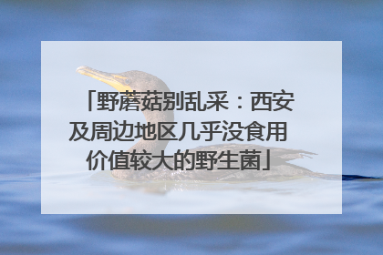 野蘑菇别乱采：西安及周边地区几乎没食用价值较大的野生菌