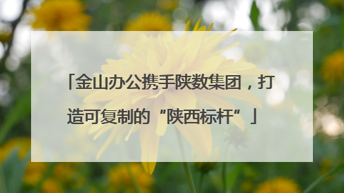金山办公携手陕数集团，打造可复制的“陕西标杆”