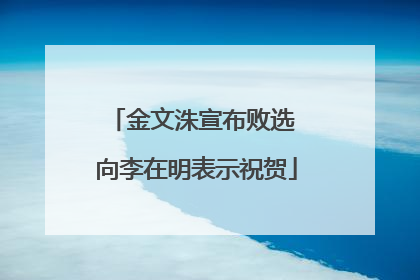 金文洙宣布败选 向李在明表示祝贺