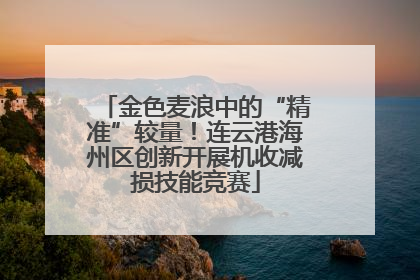 金色麦浪中的“精准”较量！连云港海州区创新开展机收减损技能竞赛