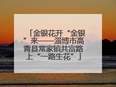 金银花开“金银”来——淄博市高青县常家镇共富路上“一路生花”