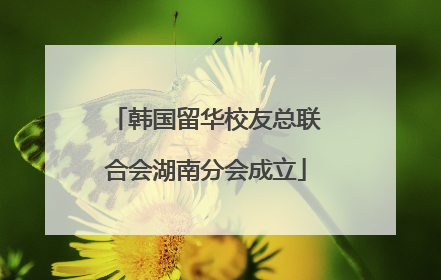 韩国留华校友总联合会湖南分会成立