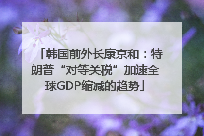 韩国前外长康京和：特朗普“对等关税”加速全球GDP缩减的趋势