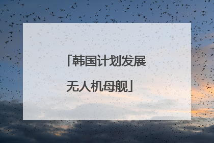 韩国计划发展无人机母舰