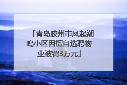 青岛胶州市凤起潮鸣小区因擅自选聘物业被罚3万元