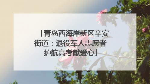 青岛西海岸新区辛安街道：退役军人志愿者护航高考献爱心