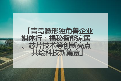 青岛隐形独角兽企业媒体行：揭秘智能家居、芯片技术等创新亮点 共绘科技新篇章