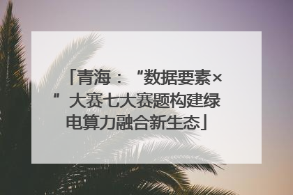 青海：“数据要素×”大赛七大赛题构建绿电算力融合新生态