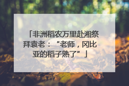 非洲稻农万里赴湘祭拜袁老：“老师，冈比亚的稻子熟了”