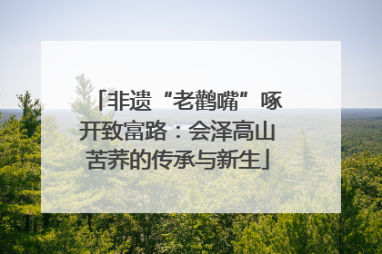 非遗“老鹳嘴”啄开致富路：会泽高山苦荞的传承与新生