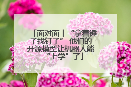 面对面丨“拿着锤子找钉子” 他们的开源模型让机器人能“上学”了