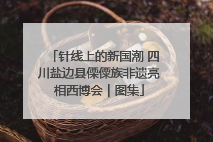 针线上的新国潮 四川盐边县傈僳族非遗亮相西博会｜图集
