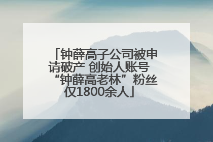 钟薛高子公司被申请破产 创始人账号“钟薛高老林”粉丝仅1800余人