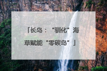 长岛：“驯化”海草赋能“零碳岛”
