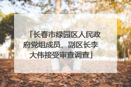 长春市绿园区人民政府党组成员、副区长李大伟接受审查调查