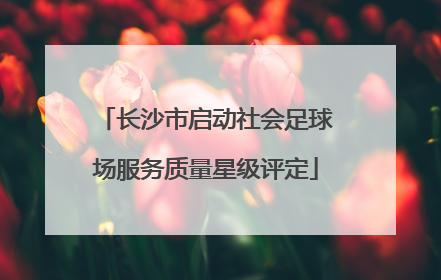 长沙市启动社会足球场服务质量星级评定