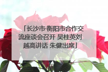 长沙市·衡阳市合作交流座谈会召开 吴桂英刘越高讲话 朱健出席