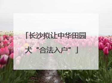 长沙拟让中华田园犬“合法入户”