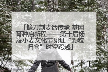 镰刀割麦话传承 基因育种启新程——第十届杨凌小麦文化节见证“颗粒归仓”时空跨越