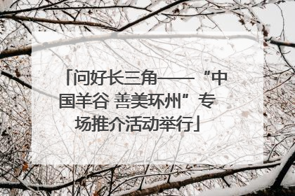 问好长三角——“中国羊谷 善美环州”专场推介活动举行
