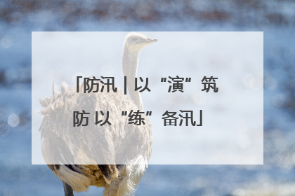防汛｜以“演”筑防 以“练”备汛