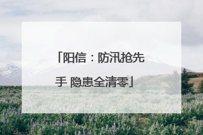 阳信：防汛抢先手 隐患全清零