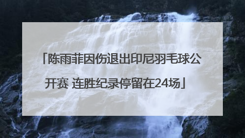 陈雨菲因伤退出印尼羽毛球公开赛 连胜纪录停留在24场