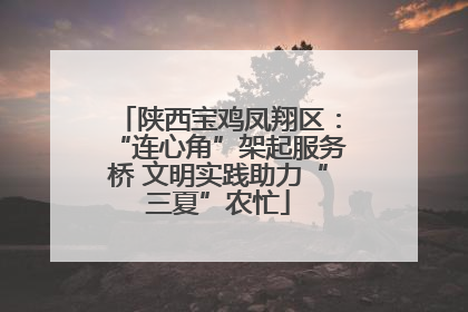陕西宝鸡凤翔区：“连心角”架起服务桥 文明实践助力“三夏”农忙
