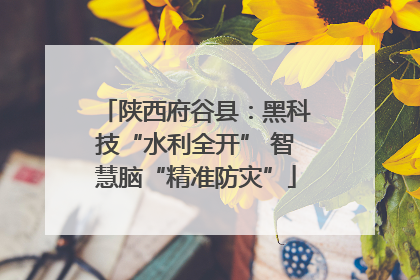 陕西府谷县：黑科技“水利全开” 智慧脑“精准防灾”