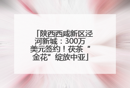 陕西西咸新区泾河新城：300万美元签约！茯茶“金花”绽放中亚