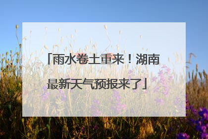 雨水卷土重来！湖南最新天气预报来了