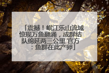 震撼！岷江乐山流域惊现万鱼翻涌，成群结队绵延两三公里 官方：鱼群在此产卵