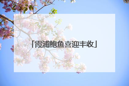 霞浦鲍鱼喜迎丰收