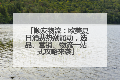 顺友物流：欧美夏日消费热潮涌动，选品、营销、物流一站式攻略来袭
