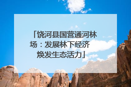 饶河县国营通河林场：发展林下经济 焕发生态活力