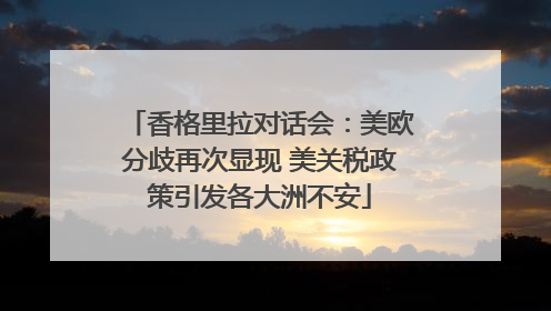 香格里拉对话会：美欧分歧再次显现 美关税政策引发各大洲不安