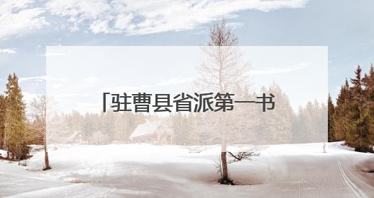 驻曹县省派第一书记和工作队：粽情端午·暖心帮扶