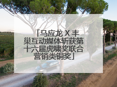 马应龙 X 丰巢互动媒体斩获第十六届虎啸奖联合营销类铜奖