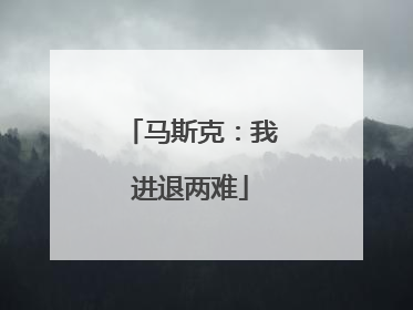马斯克：我进退两难