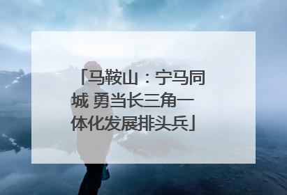 马鞍山：宁马同城 勇当长三角一体化发展排头兵