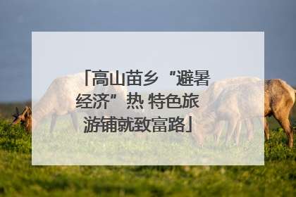 高山苗乡“避暑经济”热 特色旅游铺就致富路